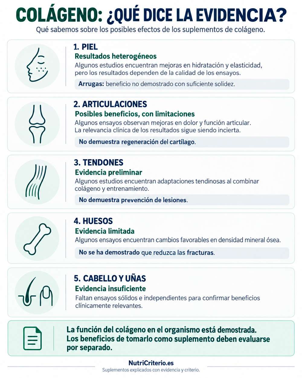 colageno-evidencia-cientifica-infografia Infografía sobre la evidencia de los suplementos de colágeno para la piel, las articulaciones, los tendones, los huesos, el cabello y las uñas